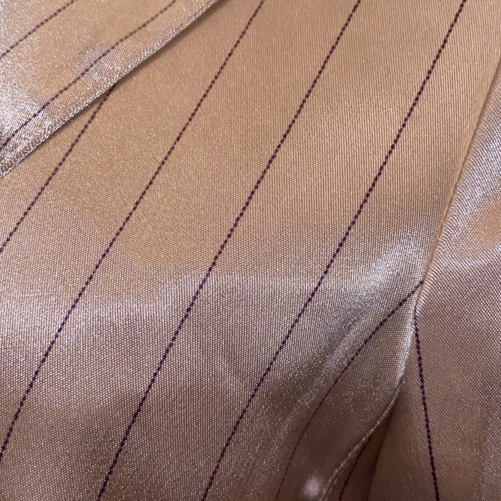 Devan Blazer - image 8